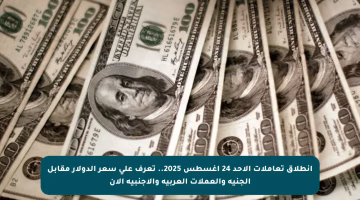 انطلاق تعاملات الأحد 24 أغسطس 2025.. تعرف على سعر الدولار مقابل الجنيه والعملات العربية والأجنبية الآن